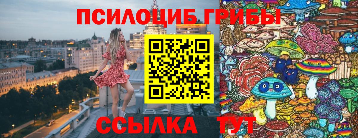 Галлюциногенные грибы ЛСД  Вход с VPN  Псилоцибиновые грибы Psilocybe  Междуреченск 