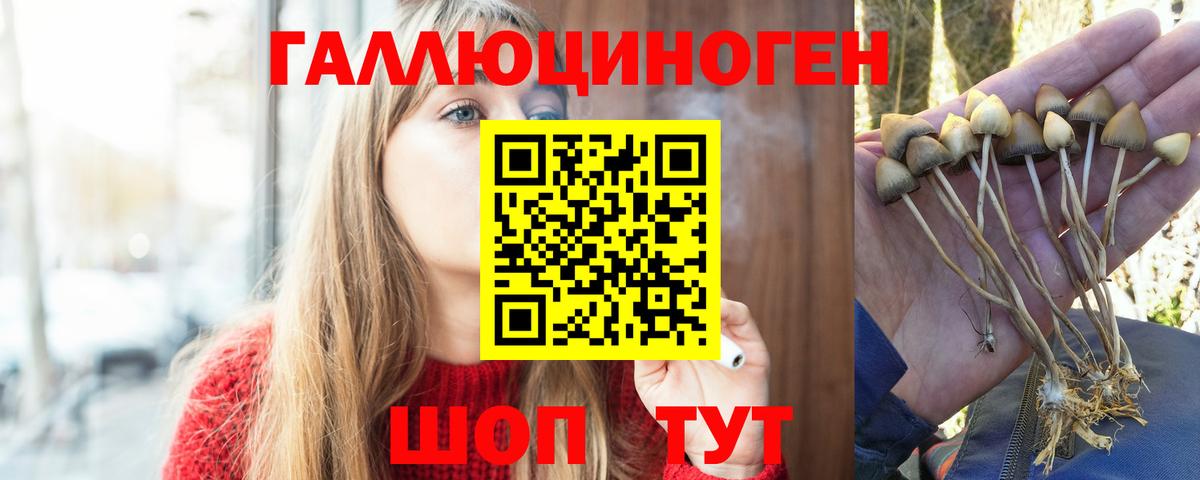 Галлюциногенные грибы GOLDEN TEACHER Междуреченск