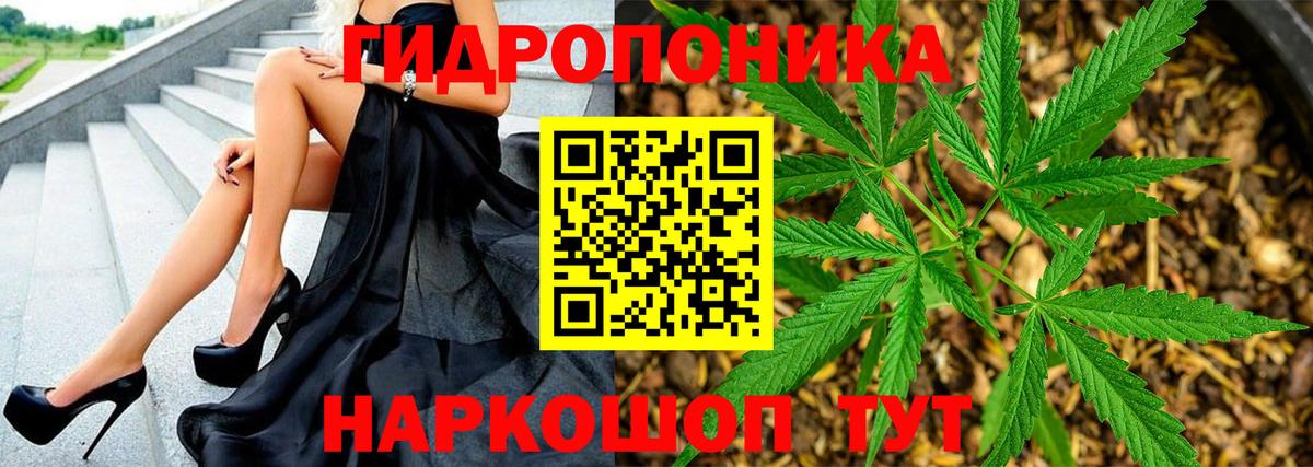 Канабис OG Kush Междуреченск